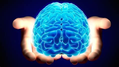 brain 3